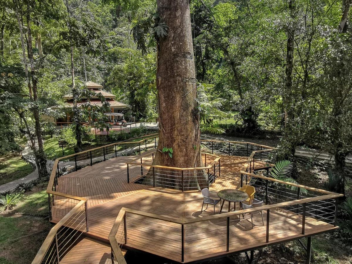 Pacuare Lodge By Boeena Limon Εξωτερικό φωτογραφία